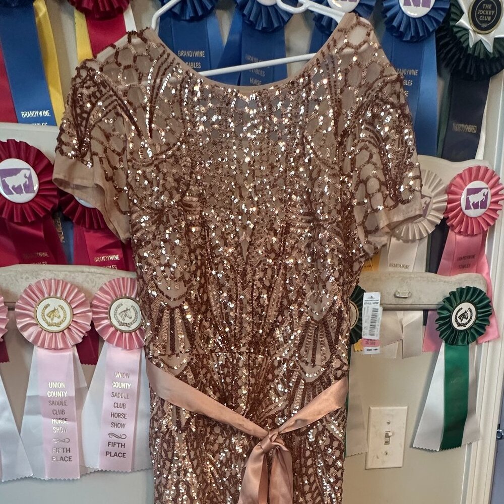 R+M Richards 14P NWT Rose Gold Sequin Formal Evening Gown